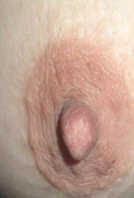 Sametti Seela Escort Karkkila